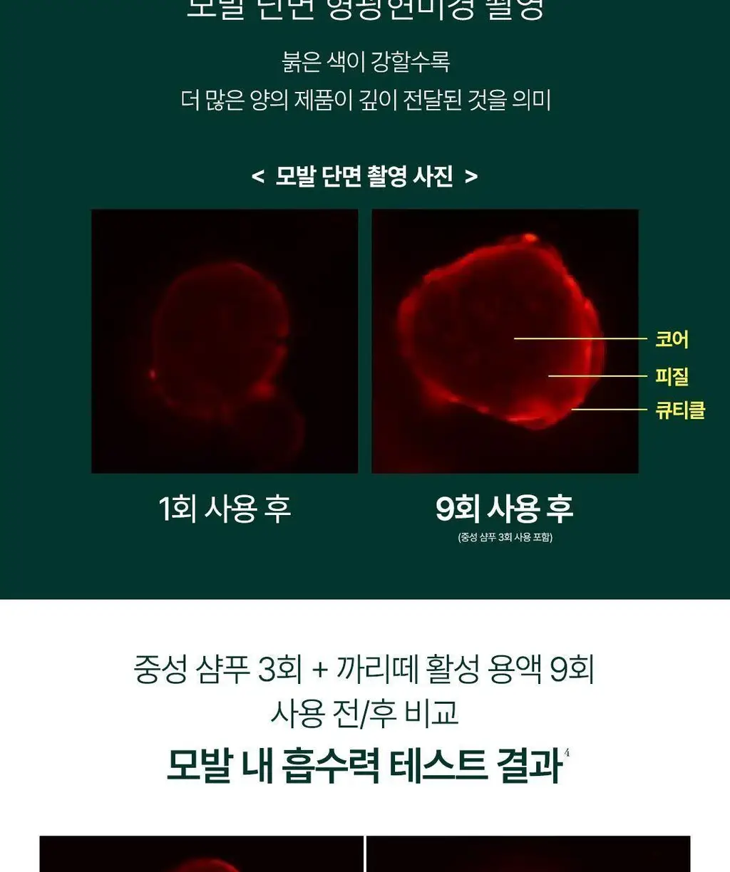 [손상모에센스] 르네휘테르 까리떼 프로페셔널 에센스 100ml (듀오/단품) 상세페이지 8